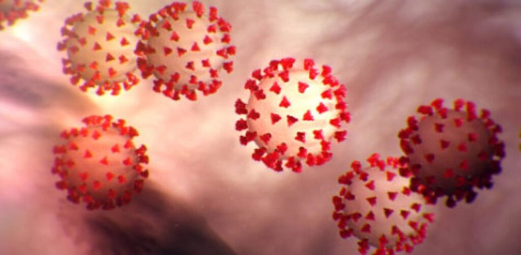 covide-19 virus in Malaysia